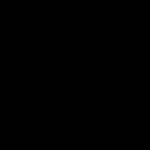 Meet your Posher, Hayley